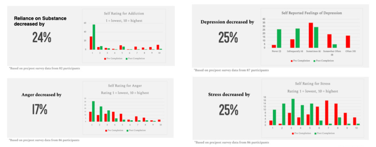 prison program charts